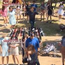 개in택시 스포츠서울