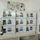 게코딱지파충류샵 | [도마뱀집사tv] 새 가족이 생겼어요 🦎경기도 파충류샵 펫테일게코 분양후기🦎