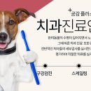 동물병원 공감 이미지