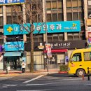 도담동물병원(출장진료전문 동물병원) | 광주 동구 예방접종 전문 병원 BEST 추천 6곳