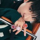 Y매거진 카카오 검색결과