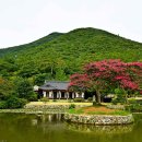 동백산방 이미지