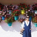 올레치킨 이미지