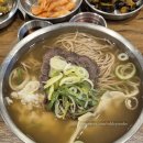 시청역 점심 맛집 추천 을지로 평양냉면 누리옥 시청역점 합반 후기