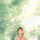 내인생의 봄날 이미지