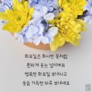 웃음의 신비한 효과 이미지