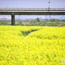 영산강둔치체육공원 이미지