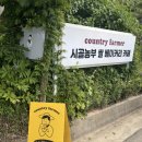 시골농부 | 강화도 여행 맛집) 시골농부 쌀 베이커리 카페_내돈내산 후기
