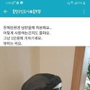 동탄맘카페 대참사 이미지