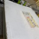 늘푸른농장 | 농라 늘푸른농장경산 노지어린쏙음상추+깻잎 후기!