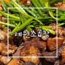 [왕십리/곱창] 왕십리 맛집 소곱창 혜원소곱창 | 모듬곱창 소곱창 양볶음밥 후기 + 할인팁