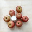 반듯한 멍이 이미지