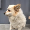 동방약국 이미지