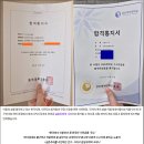 인문학적 상상력과 글쓰기 | 문과 이과 평균 4등급 대학, 후반 합격후기