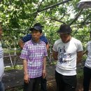 서나라농장 이미지