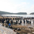 2007년12월충남태안기름제거작업 이미지
