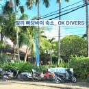 빠당빠당 | Ok Divers Resort 발리 빠당바이 숙소 후기(길리섬 이동 전 1박)