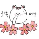 뉴고흥마트 네이버블로그