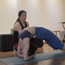 디테일홀릭 | 일산 주엽 요가홀릭 요가지도자과정 후기_18기 조○○님