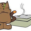 정다운동물병원 이미지