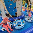 봉강초등학교 이미지