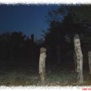 백운산가든 이미지