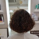 그레이스헤어갤러리 네이버블로그