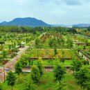 세종호수공원 이미지