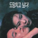 초록물고기