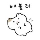 미용해주개 이미지