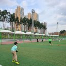[주말 일상] W42 아이들이 좋아하는 운동 스포츠, 가족과 함께하면 좋은 운동 축구 볼링