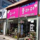 수아플라워 이미지