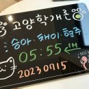 샾135 네이버블로그