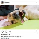 개스타