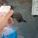 청소하는호랑이 이미지