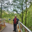 장태산휴양림 이미지