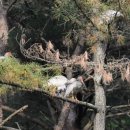 모곡마을 이미지