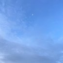 용인테니스핏 이미지