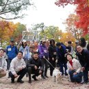 로얄펫동물병원 이미지