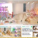골든스웨터 캐터리 이미지
