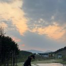 샴발라 컨트리클럽 | 샴발라cc 라운딩후기