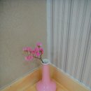 쉼터김밥 이미지