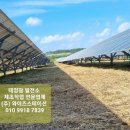 넝쿨 태양광발전소 이미지