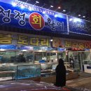 일산 풍동 물회 맛집 청정회활어 횟집 후기
