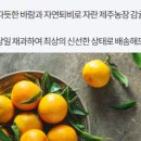 되고개농장 이미지