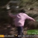 메종드콩티
