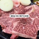 고기마루 이미지