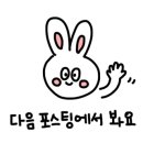 씨스투(CS2)에스테틱 네이버블로그