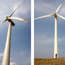 상운목장 이미지