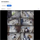 뷰티드림성형외과 이미지